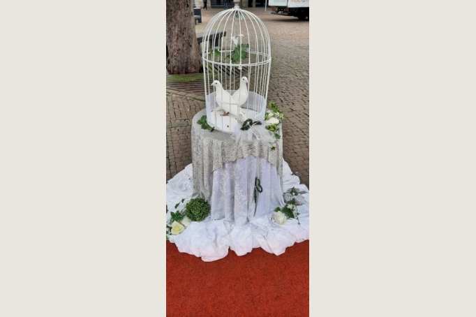 Weisse HOCHZEITSTAUBEN, HERZHELIUMBALLONS Sie suchen ein schönes Event oder Geschenk zur HOCHZEIT?