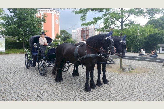 Kutschfahrschule Petra Wienzek